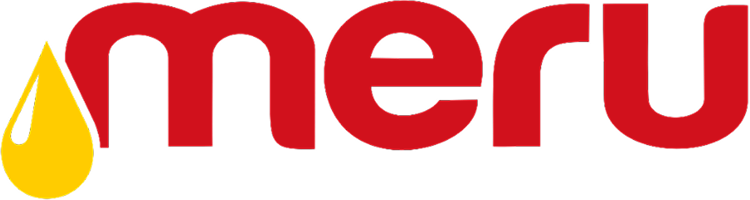 Customer Mount Meru Group logo